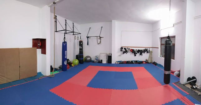 Club de lupta Shaolin Spirit Timisoara - MMA, grappling, kickbox - Sala de Fitness