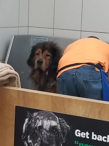 Pet Supply Store «Pet Supplies Plus», reviews and photos, 135-25 79th St, Howard Beach, NY 11414, USA