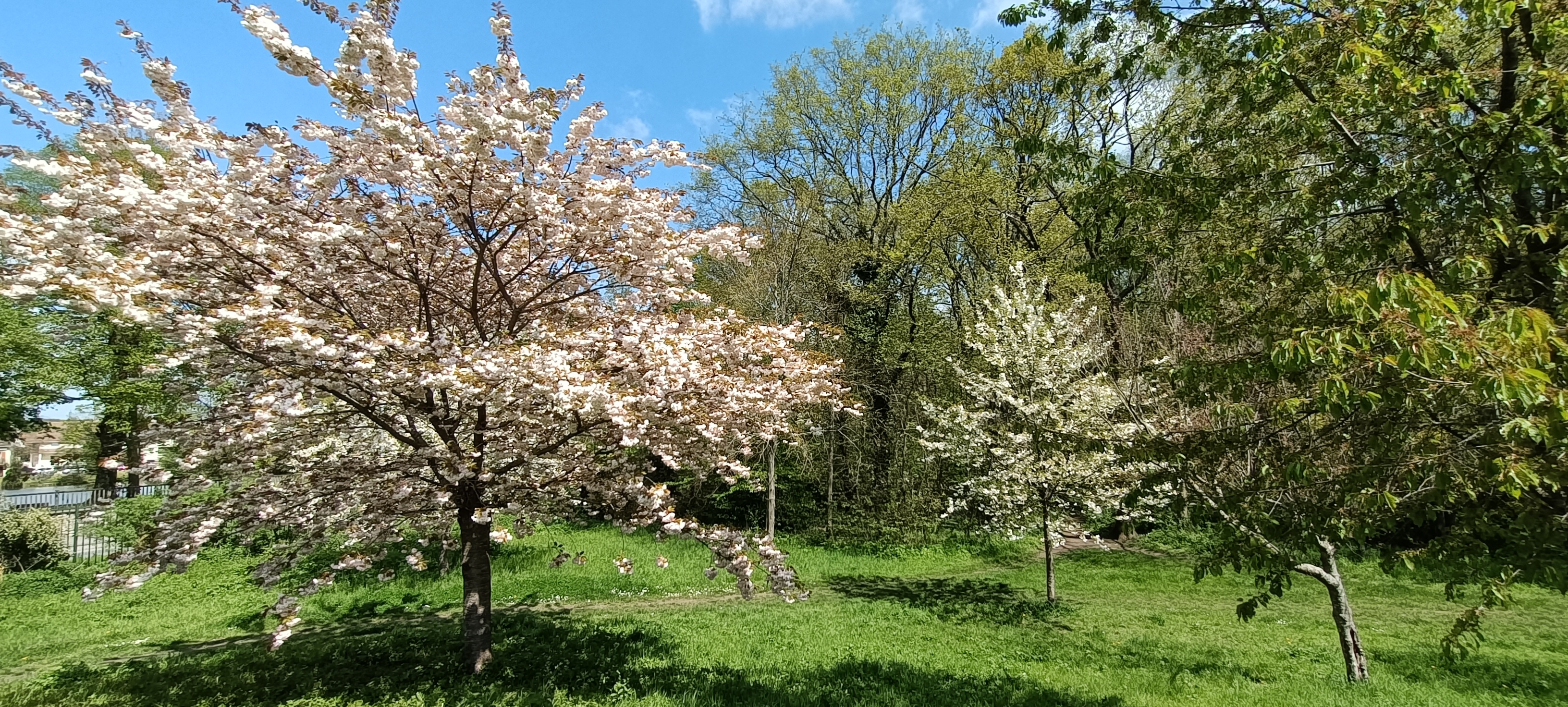 Photo n° 14 de l'avis de Seb.s fait le 19/04/2023 à 15:12