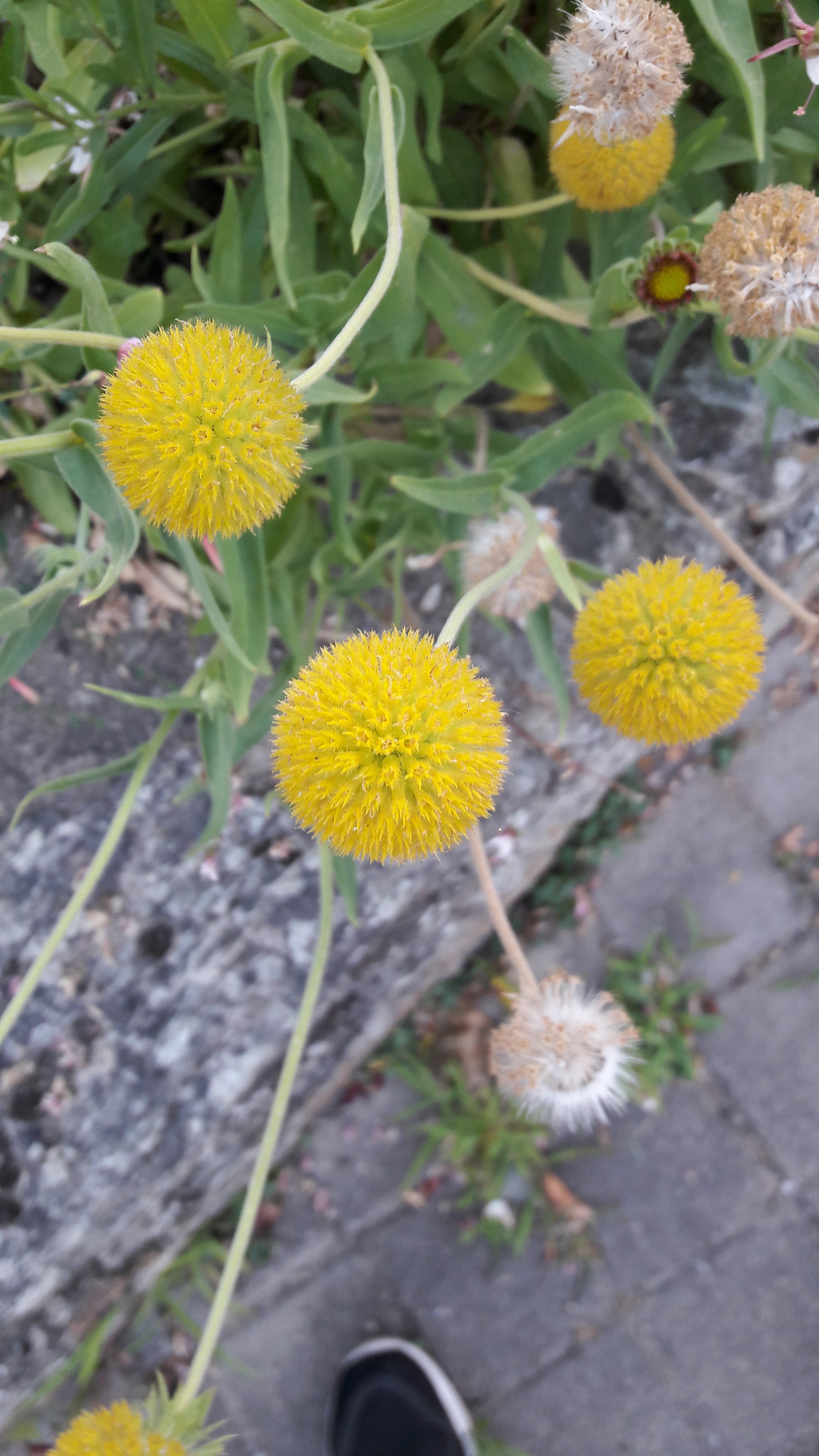 Photo n° 12 de l'avis de Peter.i fait le 04/08/2018 à 17:47