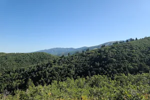 Canyon Creek Drive Trailhead image