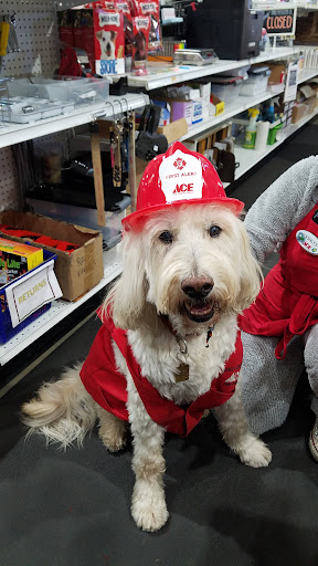 Hardware Store «Gold Country Ace Hardware», reviews and photos, 4121 Cameron Park Dr, Cameron Park, CA 95682, USA