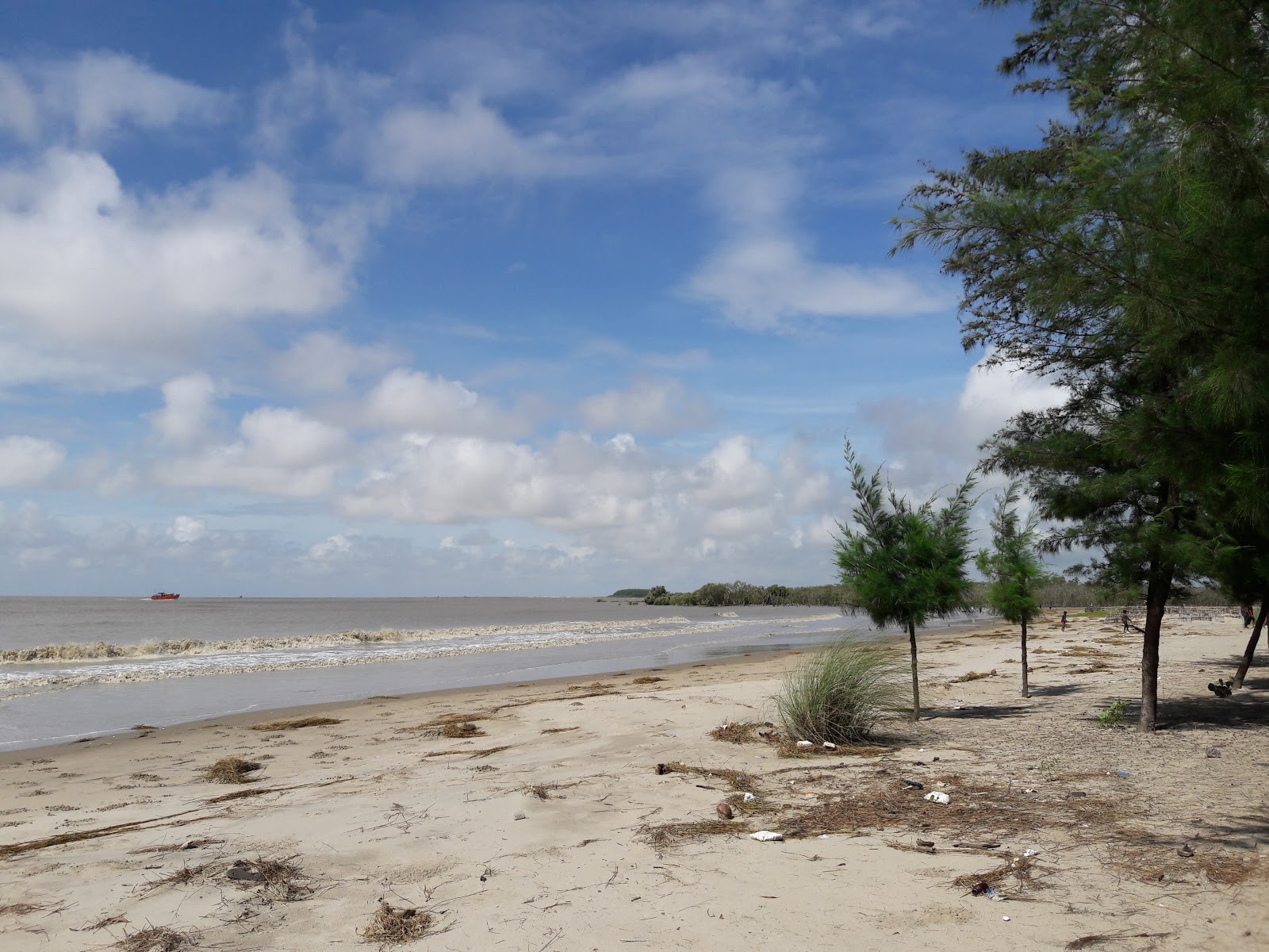 Photo de Hijli Sea Beach avec un niveau de propreté de très propre