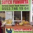 Sütcü Yumurta