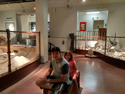 Museum «Texas Memorial Museum», reviews and photos, 2400 Trinity St, Austin, TX 78705, USA