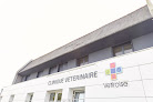 Clinique vétérinaire Vétiroise de Landerneau Landerneau