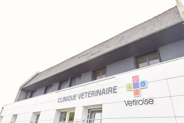 Clinique vétérinaire Vétiroise de Landerneau