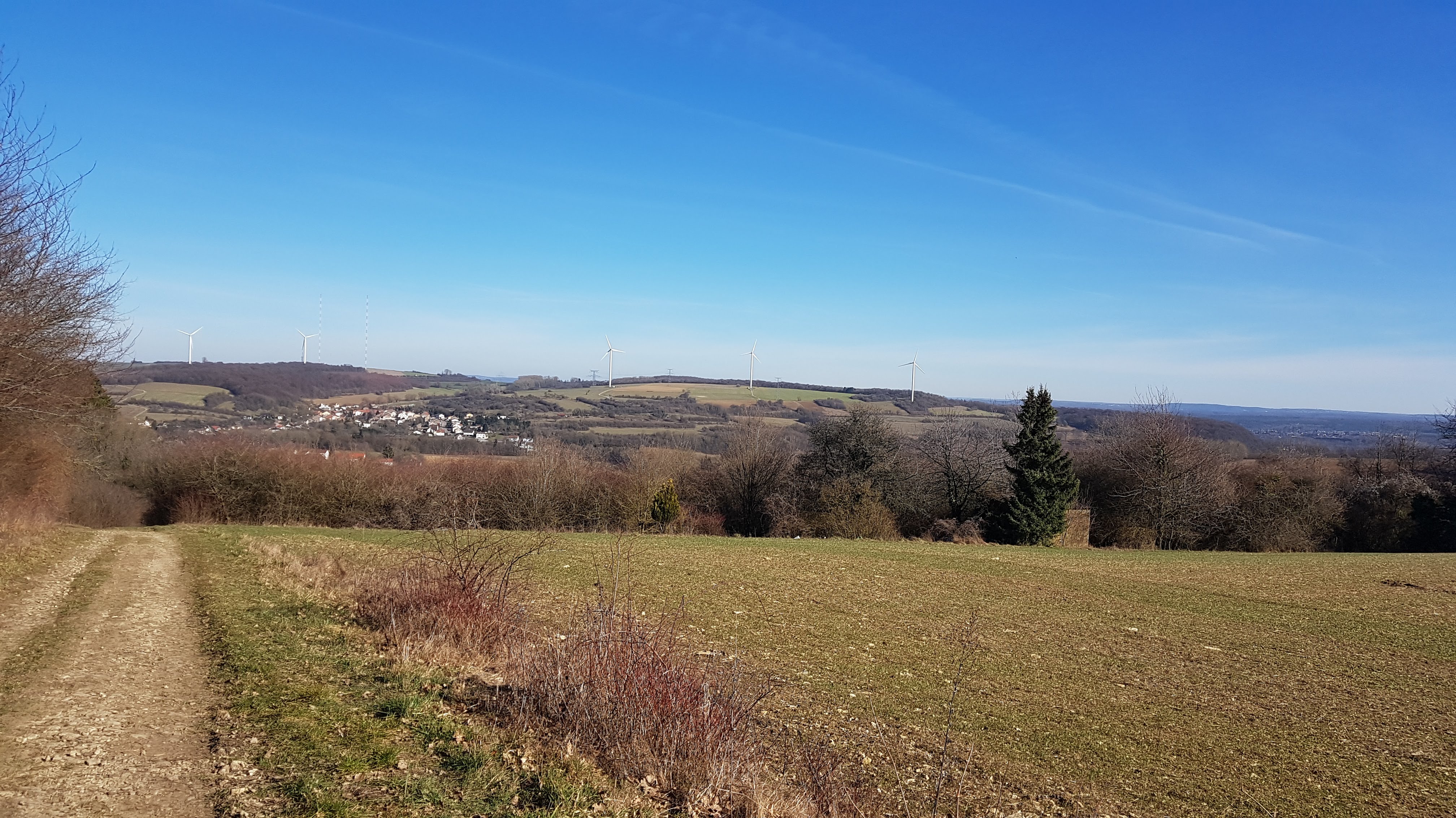 Photo n° 3 de l'avis de pierre.e fait le 26/02/2019 à 18:13