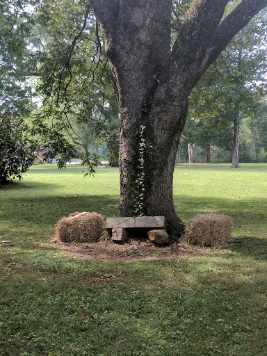 Coffee Shop «JaVa.mooresville», reviews and photos, 25062 North St, Mooresville, AL 35649, USA