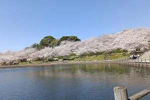 Fujiyamakenkobunka Park image
