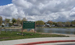 Willow Pond Park