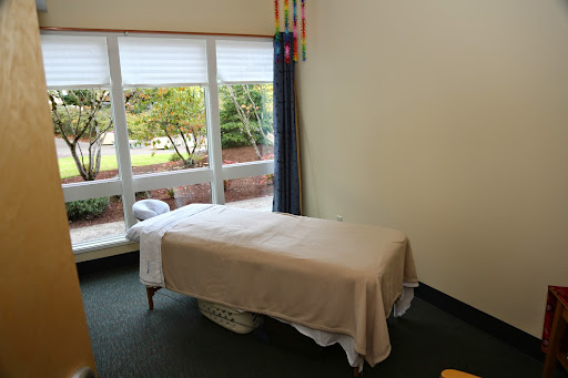 Chiropractor «Indigo Wellness Center», reviews and photos, 320 Liberty St SE, Salem, OR 97301, USA