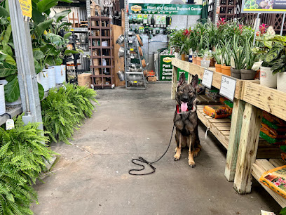 Image from the Google listing for M.I.E. K9 Dog Training