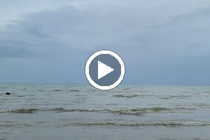 Wasaga Beach Dog Beach image