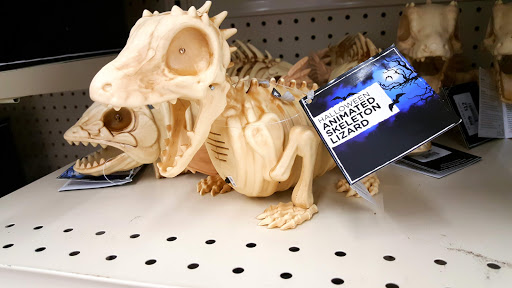 Discount Store «Big Lots», reviews and photos, 507 Dallas Hwy #300, Waxahachie, TX 75165, USA