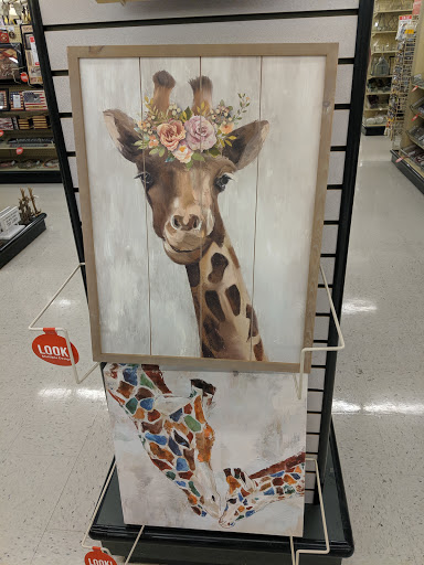 Craft Store «Hobby Lobby», reviews and photos, 6295 S Westnedge Ave, Portage, MI 49002, USA