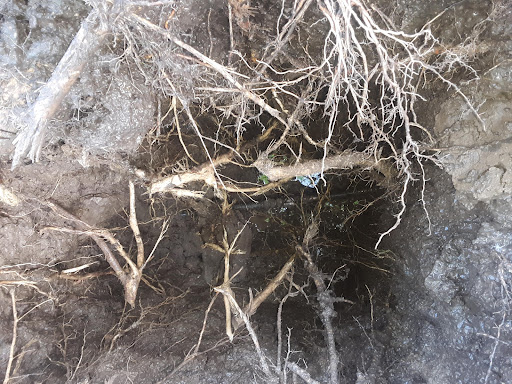 Plumber «The Waterworks», reviews and photos, 550 Schrock Rd, Columbus, OH 43229, USA