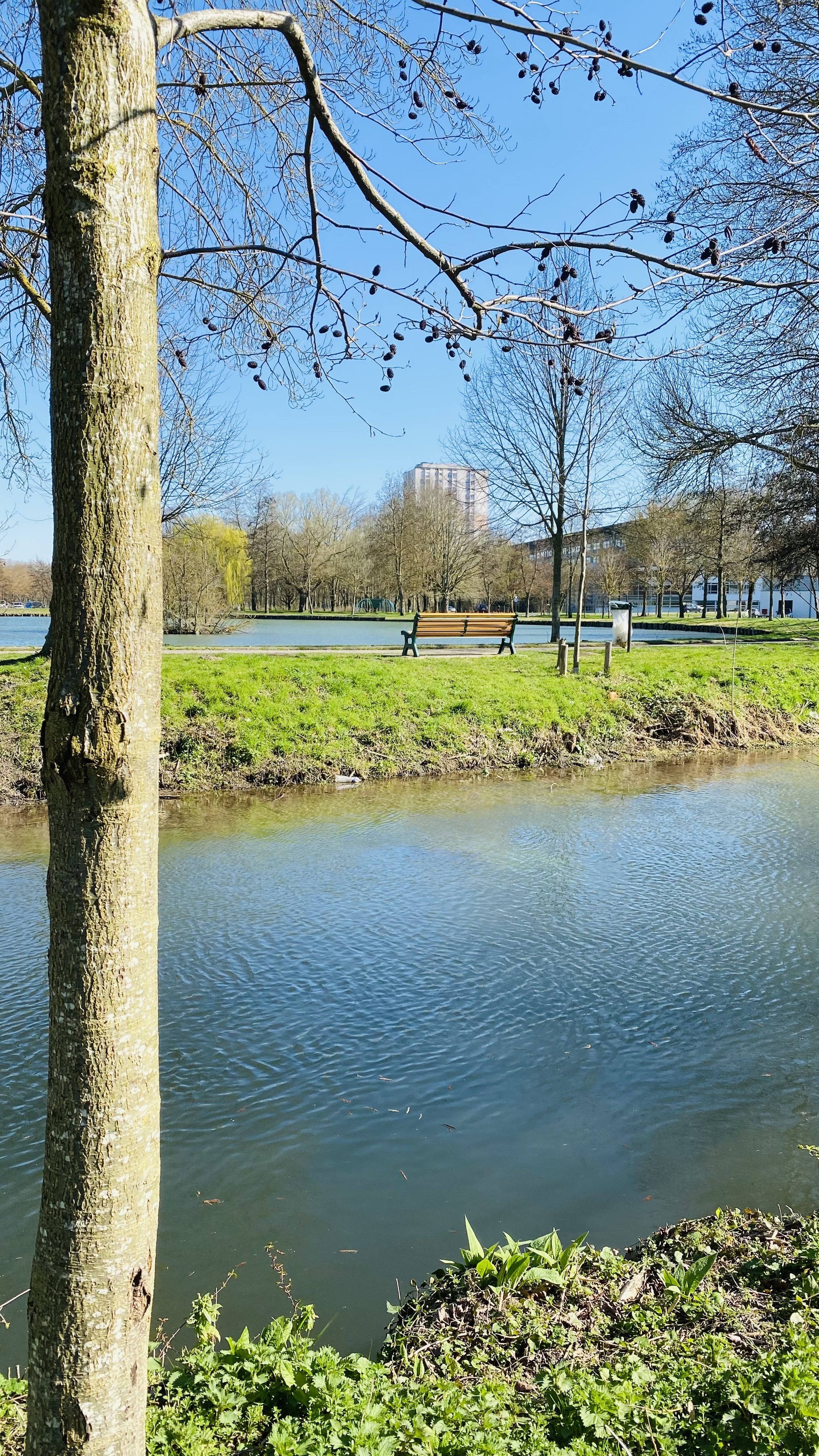 Photo n° 2 de l'avis de Alexandre.e fait le 18/03/2022 à 13:50