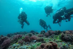 Formar Buceo image