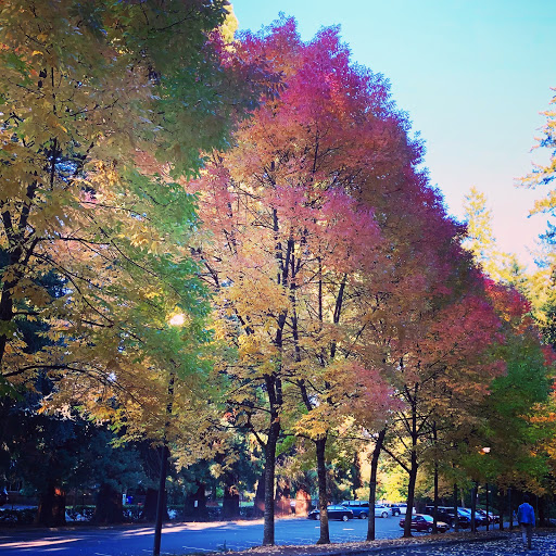 Place of Worship «The Grotto», reviews and photos, 8840 NE Skidmore St, Portland, OR 97220, USA