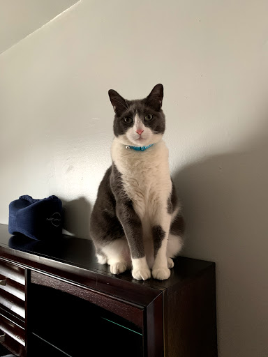 Pet Supply Store «PetSmart», reviews and photos, 190 Rt 10 West, East Hanover, NJ 07936, USA