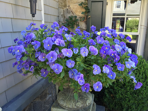 Florist «Greenwich Orchids», reviews and photos, 106 Mason St, Greenwich, CT 06830, USA