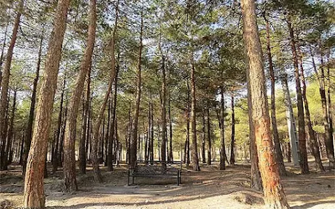 Chitgar Forest Park image
