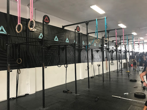 Gym «Reebok CrossFit Miami Beach», reviews and photos, 930 Alton Rd, Miami Beach, FL 33139, USA