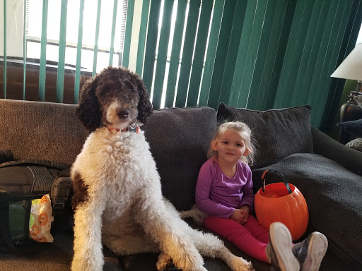 Pet Supply Store «Petco Animal Supplies», reviews and photos, 28400 Dequindre Rd, Warren, MI 48092, USA