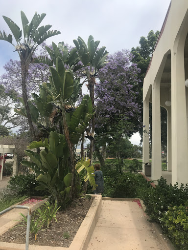 Community College «Santa Barbara City College», reviews and photos