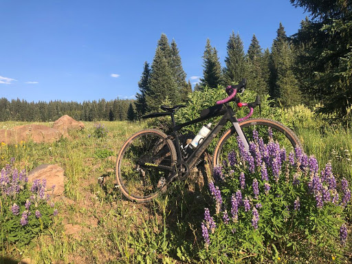 Bicycle Store «Reality Bikes», reviews and photos, 20 Tri-County Plaza, Cumming, GA 30040, USA