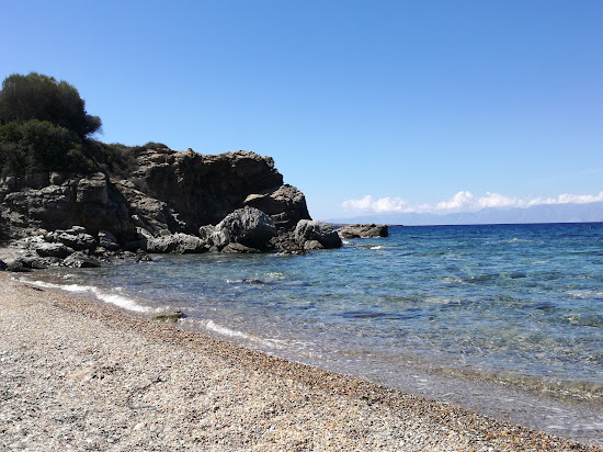 Oink beach