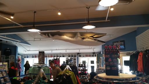 Whale Watching Tour Agency «Bar Harbor Whale Watch Co», reviews and photos, 1 West St, Bar Harbor, ME 04609, USA