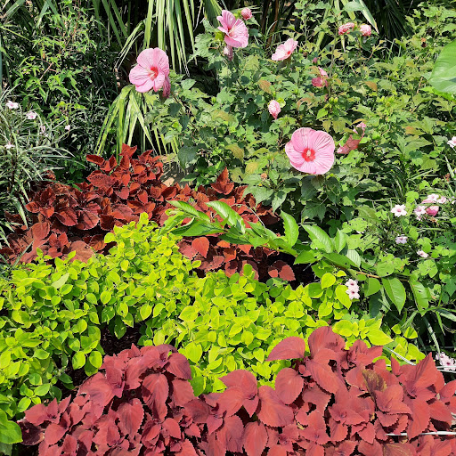 Park «Belo Garden», reviews and photos, 14 Main St & Griffin St. & Commerce St., Houston, TX 77002, USA