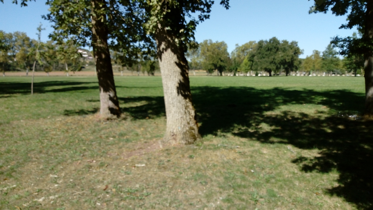 Photo n° 38 de l'avis de Delbart.e fait le 29/09/2019 à 12:17