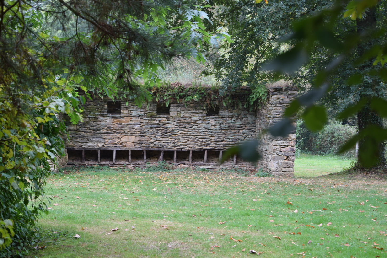 Photo n° 3 de l'avis de Stef.6 fait le 16/10/2020 à 18:51