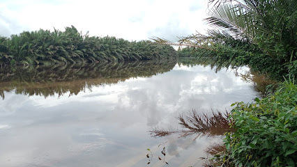 Sungai desa pangkalan bemban