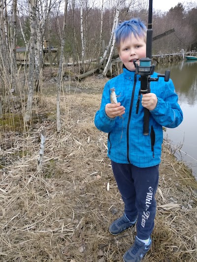Photos of Kes&auml;niemi