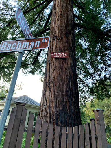 Park «Bachman Park», reviews and photos, 500 Bachman Ave, Los Gatos, CA 95030, USA