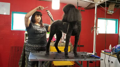 Pet Groomer «Precious Paws Pet Grooming», reviews and photos, 1807 Franklin St, Michigan City, IN 46360, USA