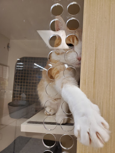 Pet Supply Store «Petco Animal Supplies», reviews and photos, 1601 Market Pl Dr #371, Great Falls, MT 59404, USA