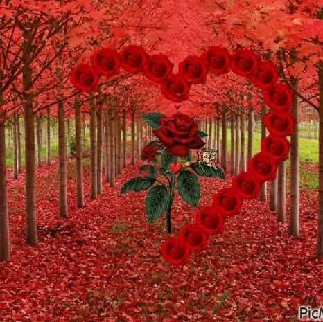 Park «Belo Garden», reviews and photos, 14 Main St & Griffin St. & Commerce St., Houston, TX 77002, USA