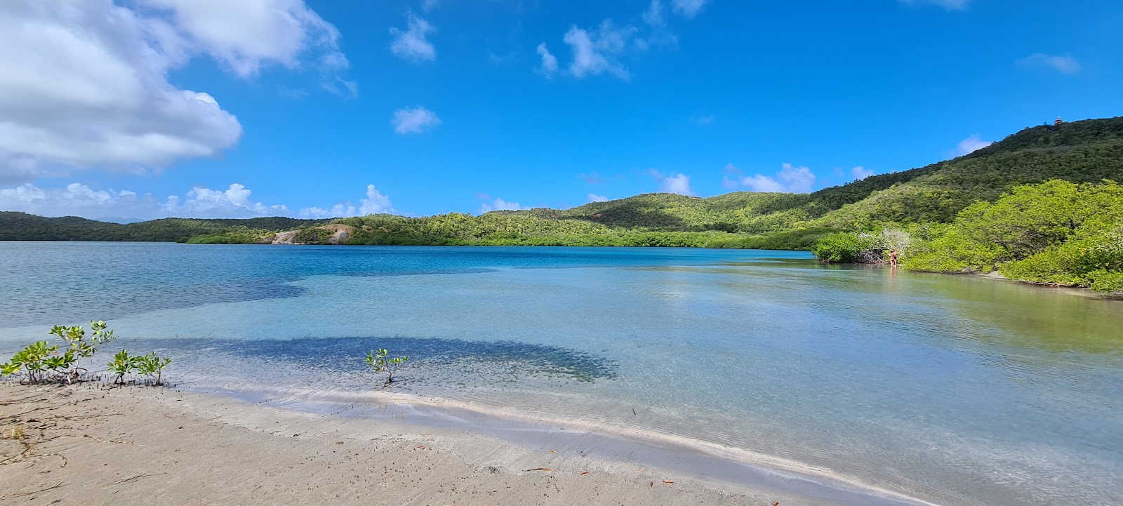Fotografie cu Plage Mangrove cu o suprafață de nisip beige
