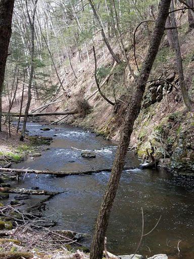 Nature Preserve «Mianus River Gorge Preserve», reviews and photos, 167 Mianus River Rd, Bedford, NY 10506, USA