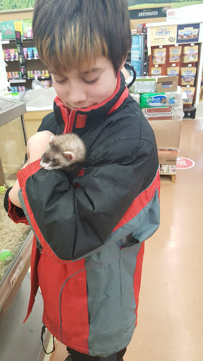 Pet Supply Store «Petco Animal Supplies», reviews and photos, 4908 Kingston Pike, Knoxville, TN 37919, USA