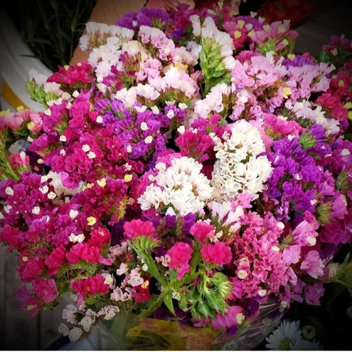 Florist «Bloomers», reviews and photos, 7520 Eads Ave, La Jolla, CA 92037, USA