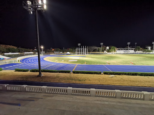 Gradas del Estadio Salvador Alvarado