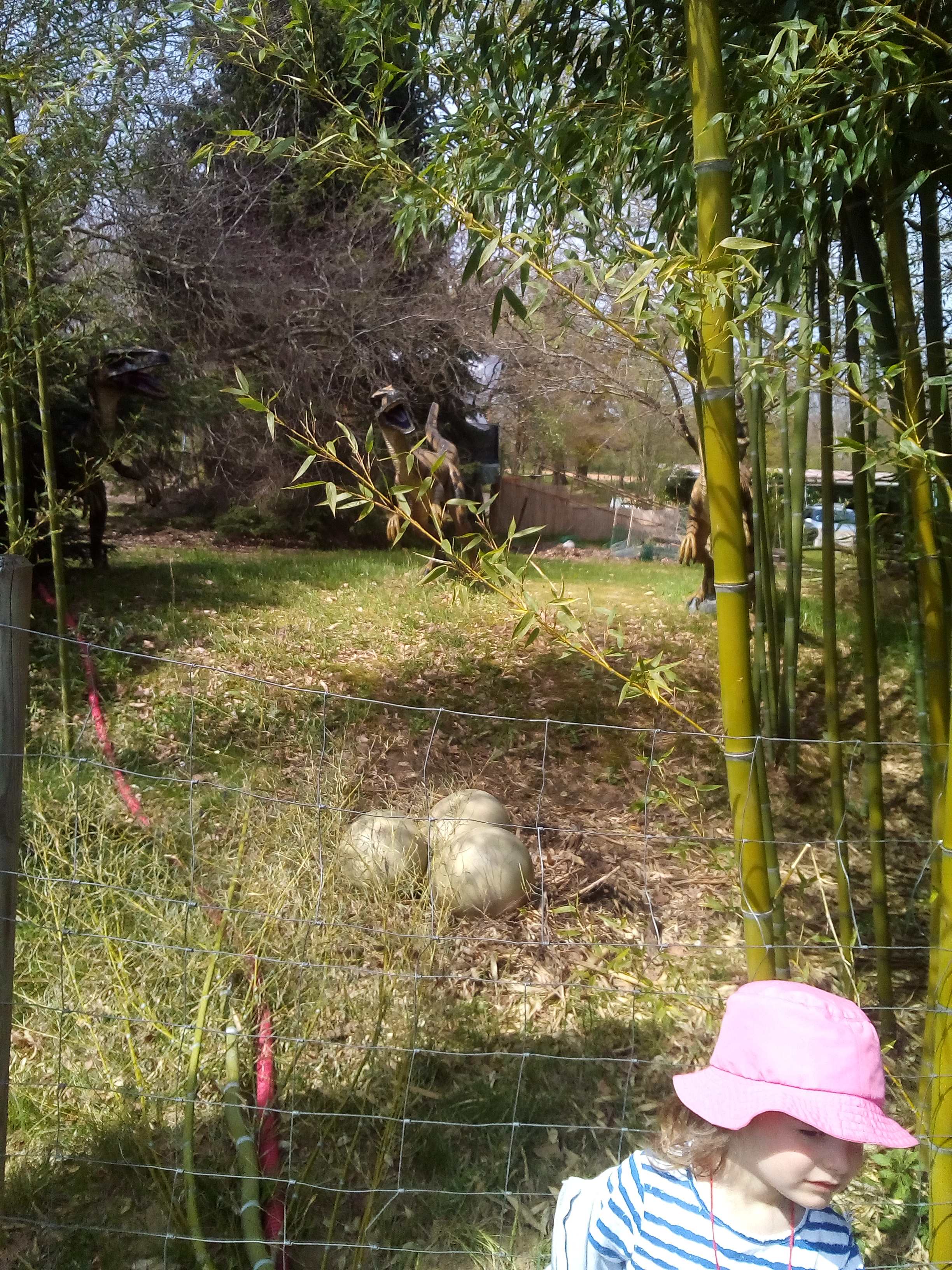 Photo n° 3 de l'avis de Michel.O fait le 22/04/2019 à 11:16