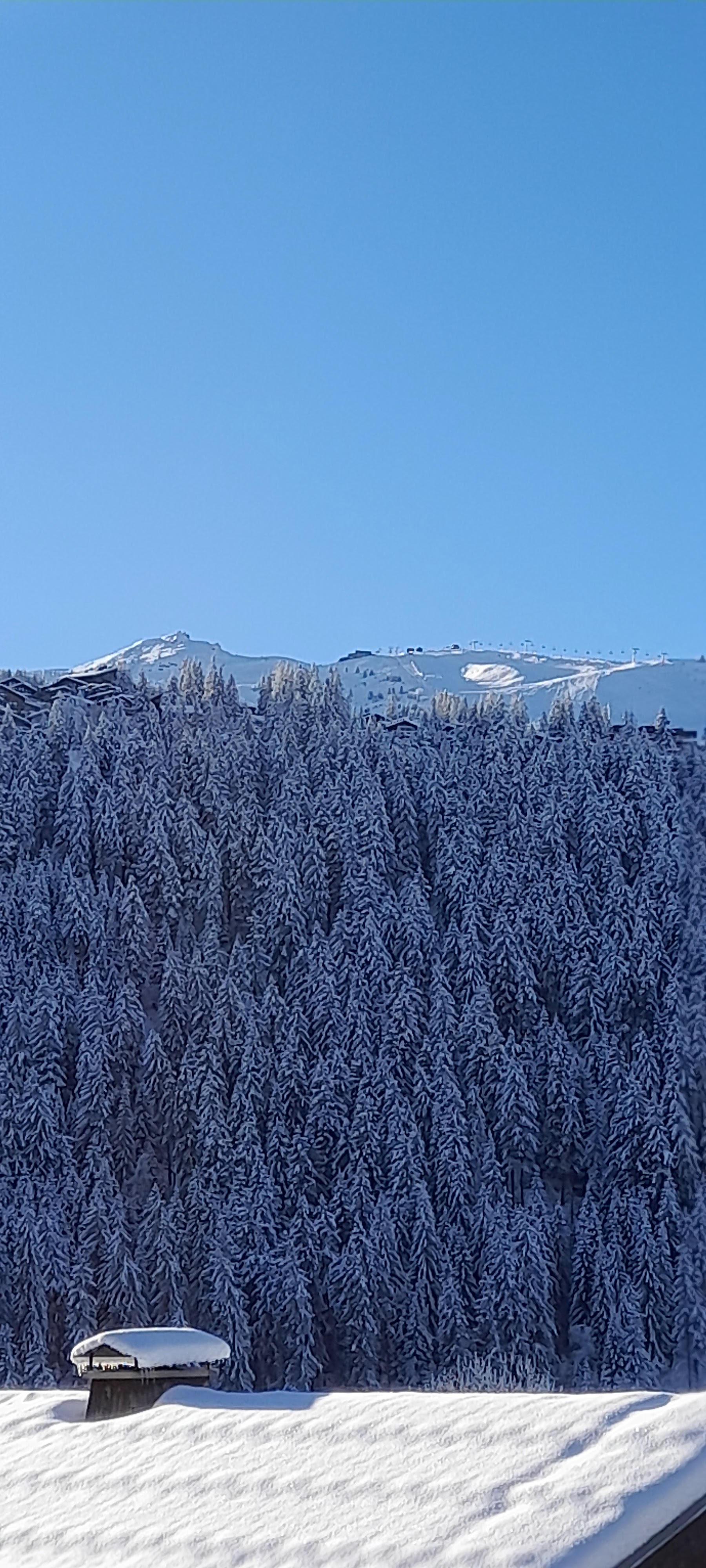 Photo n° 3 de l'avis de Jerome.a fait le 11/12/2022 à 15:20