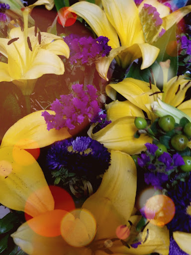 Park «Seahurst Park», reviews and photos, 1600 SW Seahurst Park Rd, Burien, WA 98166, USA